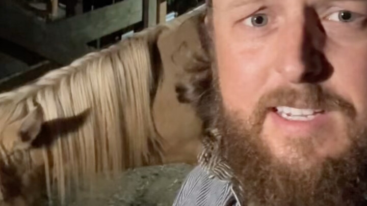 Raising horses is nothing but a hassle—they always look like they’re about to die.