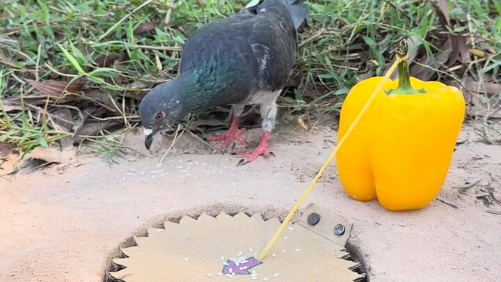 [World Curiosities Commentary] My latest work—come check it out!