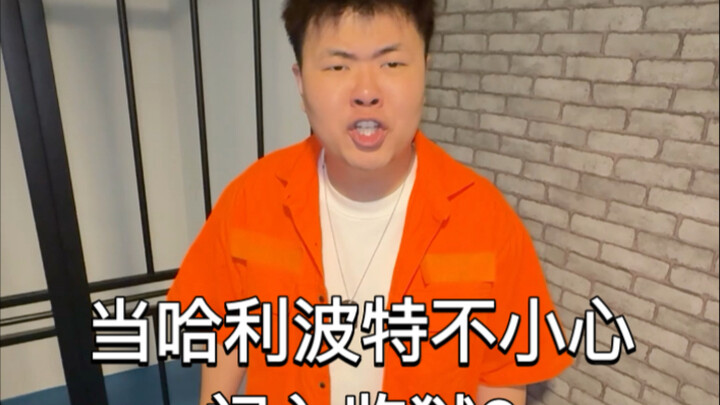 当哈利波特不小心闯入监狱2