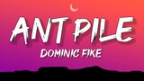Dominic Fike - Ant Pile (Lyrics)