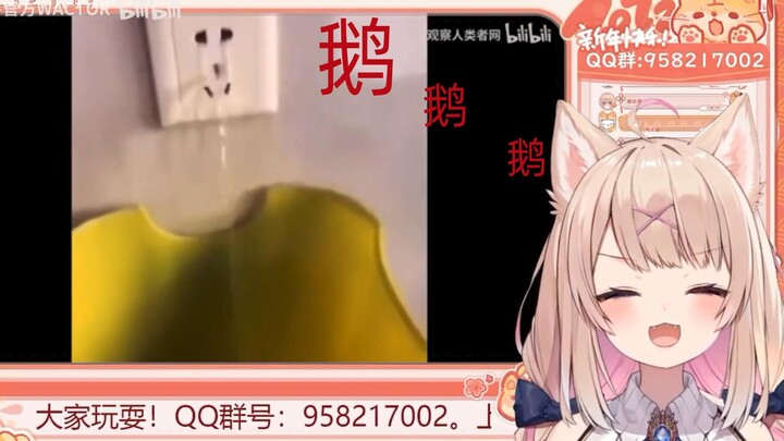 【Inumaki Hizuru】Juju watches "The Designer Still Can't Get Used to Earthlings' Life," and laughs so 