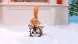 Funny Ginger cat vs squirrel 😸🐿️ Cute kitten stop motion