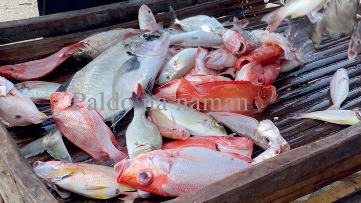 dami nilang huling isda