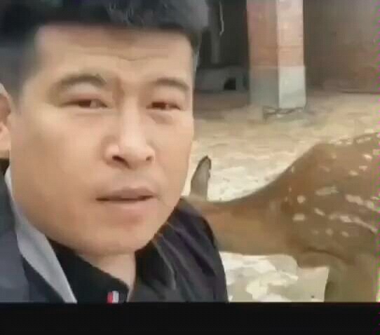 Pertama kali dengar kalau membiarkan memori ponsel penuh bisa menghemat uang