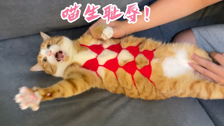 شكرًا للمعجبين على الهدايا التي أرسلوها، ميماو سعيدة جدًا ∠( ᐛ 」∠)_