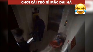 Chơi cái trò gì mắc dại hà😂