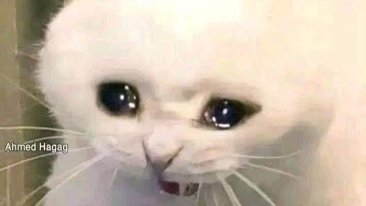 أعمل نفسك  ميت