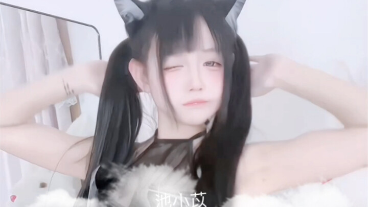 小猫欸