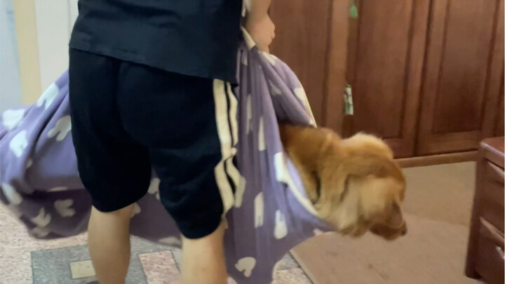 “Chuyện bạn trai không cho tôi vuốt ve chó của anh ấy sau khi cãi nhau với tôi”