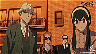 spy x family