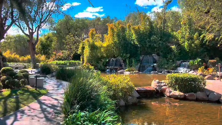 墨西哥花园 Mexican Garden