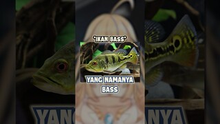 apakah ikan termasuk alat musik? 🐟 #shorts #vtuber