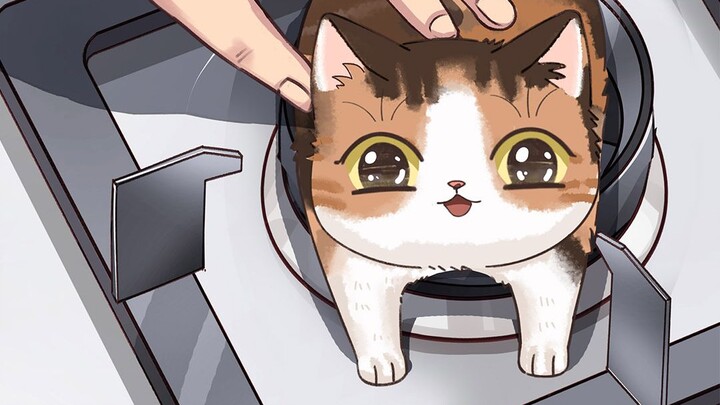 As a human being, please be kind! Speak up for the cat that was burned.