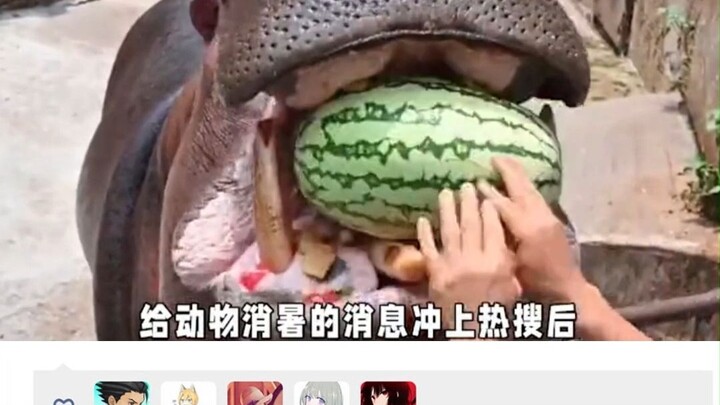 Koreans are losing their cool! All because Chinese people eat watermelon but leave the rind—how can 
