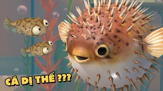 TÔI LÀ CÁ NÓC DỊ NHÂN !!! (Pobbrose Giả lập cá vàng) ✔