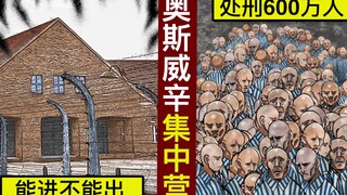 【历史】人间炼狱：奥斯威辛集中营【动态漫画】【人类毛病大学】