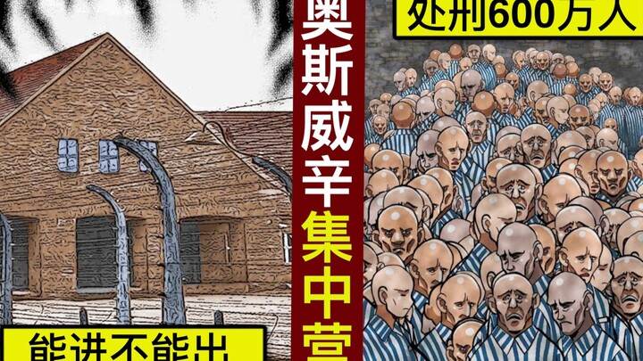 【历史】人间炼狱：奥斯威辛集中营【动态漫画】【人类毛病大学】