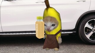 Banana Cat wants to sell delicious drinks to Wawadiao!