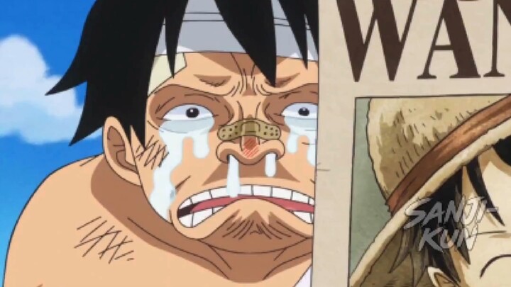 Luffy's bounty actually went DOWN?!