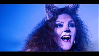 Erinnerung - Cats (Mondlicht)