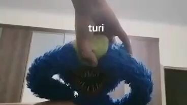 tutip