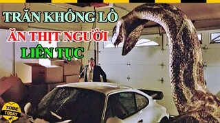 🔴 Rợn Tóc Gáy Với Thảm Họa Trăn Khổng Lồ Liên Tục Ă.N ­T.H.Ị.T ­N.G.Ư.Ờ.I