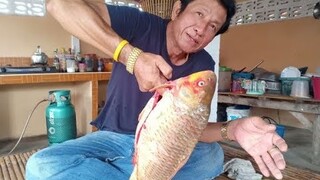ลาบปลาในตัวใหญ่ยักษ์