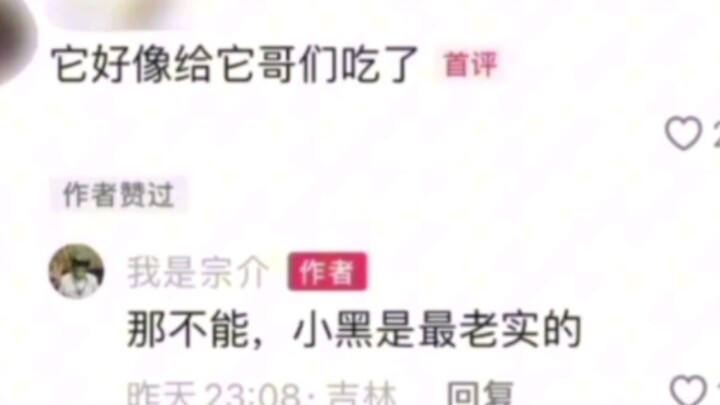 เสี่ยวเฮย: ไม่ได้สิ คุณก็รู้นี่ว่าฉันซื่อที่สุด #ตลก #ปลา