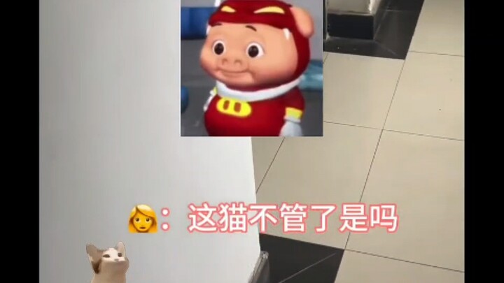 Ke depannya, orang normal bakal jadi kelompok minoritas.