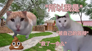 【猫meme】关于我被自己的答辩救了一命这件事