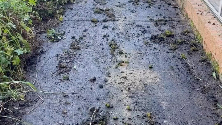 It felt so good the moment it was cleaned up!