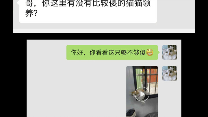 I suspect I’ve been played, but I have no proof. What do you guys think?