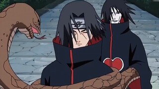 Kisame: I am the only one in the entire Akatsuki organization who does real work!