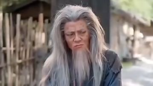 หลินเฟิง เปิดระบบแต่งภรรยา