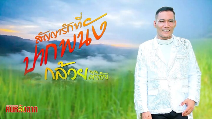 สัญญารักที่ปากพนัง | กล้วย ศิริชัย | Official  MV |