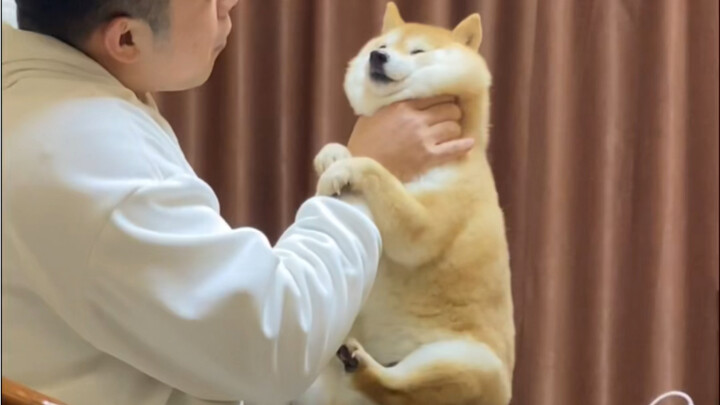 ทั้งสองตัวใช้เวลาในวันนี้ร่วมกันได้ดีมาก ทั้งสนุกและผ่อนคลาย!