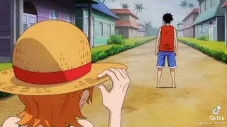 luffy and his friends/crewðŸ˜�
