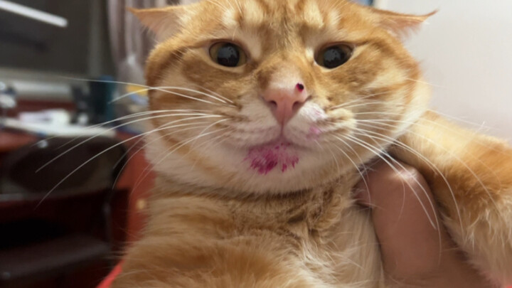 He’s so calm that I even suspect I ate the dragon fruit myself.