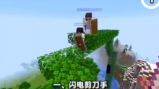Minecraft我的世界