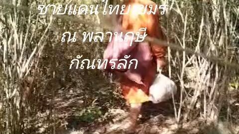 ธงดงค์ ชายแดนไทยเขมร