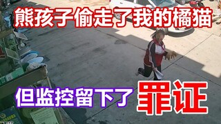 เด็กดื้อขโมยแมวส้มของฉันไป แต่กล้องวงจรปิดได้ทิ้งหลักฐานเอาไว้