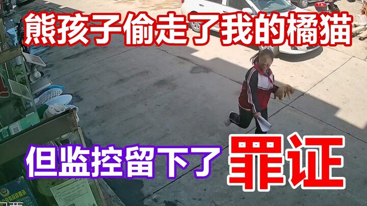 A naughty kid stole my orange cat, but the surveillance camera caught the evidence.