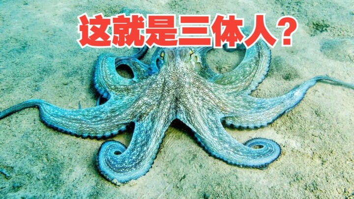 三体人长啥样子？为啥可以脱水还能复活？