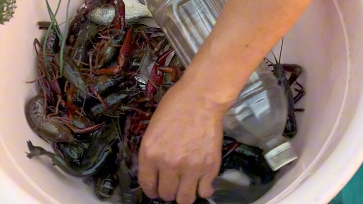 من صاحب هاكيمي الكبير؟ أخرجه ليلقى نسمة هواء