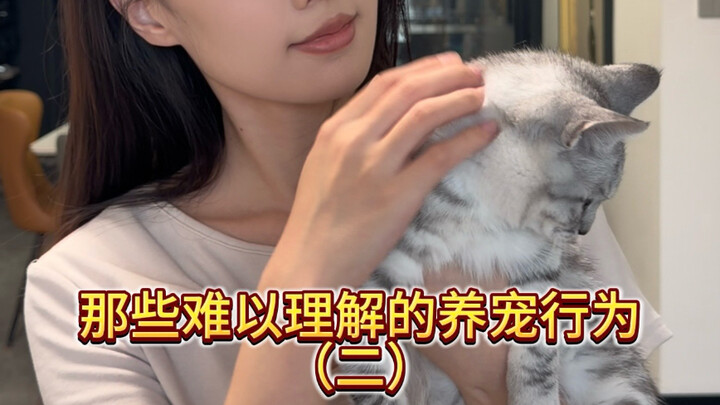 Hello, I also have a cat.