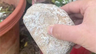 This fake rock is really great; I won't lose my keys anymore.