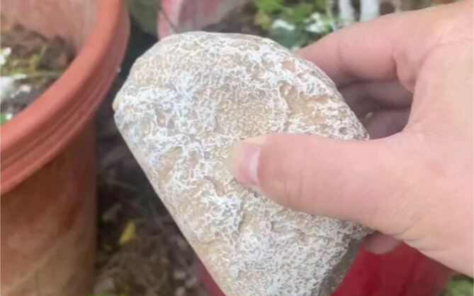 This fake rock is really great; I won't lose my keys anymore.