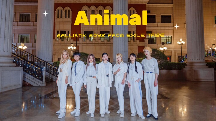 Penggemar proyek konstruksi bergembiralah! Tarian cover Animal Paris Wave pertama di dalam negeri de