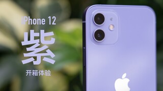 [Ozawa] Unboxing iPhone 12 warna ungu: Bisakah Anda menerima warna ungu ini?