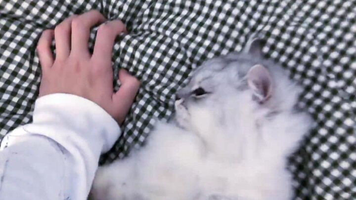 【kbdyd นอนทับ】ผีก็ไม่รู้ว่าฉันดูคลิปนี้กี่รอบแล้ว